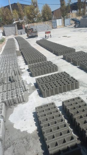 عکس بلوک زنی برادران شاه نظری