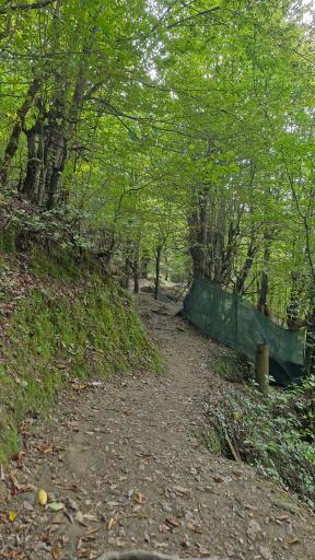 عکس آبشار ممشلم