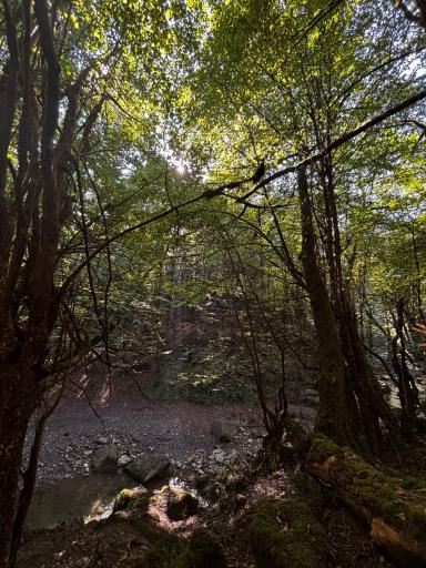 عکس آبشار ممشلم