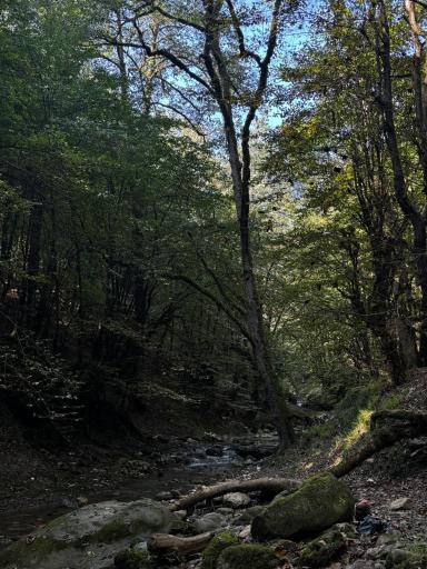 عکس آبشار ممشلم