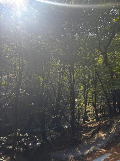 عکس آبشار ممشلم