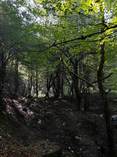 عکس آبشار ممشلم