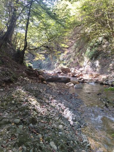 عکس آبشار ممشلم