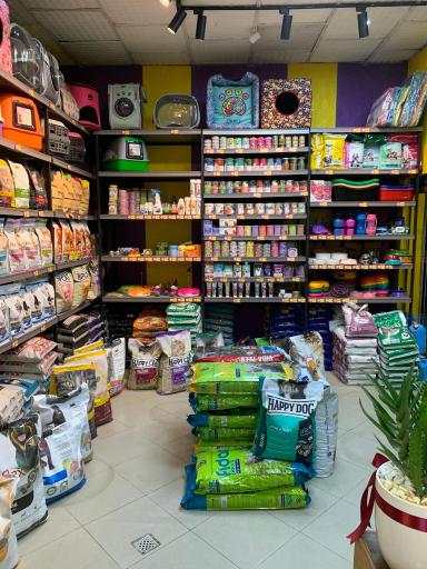 پت شاپ چیزمیز پت