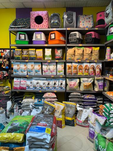 پت شاپ چیزمیز پت