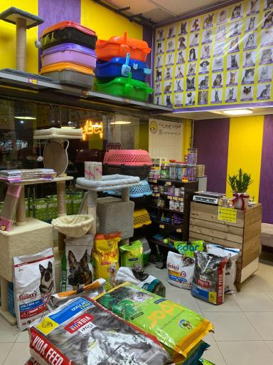 پت شاپ چیزمیز پت