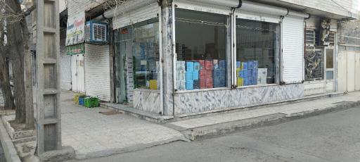 عکس پخش کاغذ یاس
