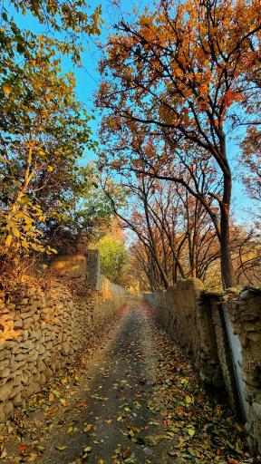 عکس باغ راه گردشگری روستای کن منطقه ۵ تهران