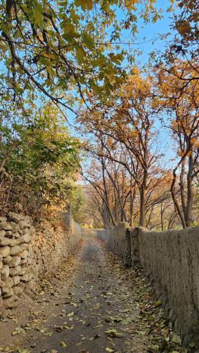 عکس باغ راه گردشگری روستای کن منطقه ۵ تهران