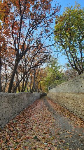 عکس باغ راه گردشگری روستای کن منطقه ۵ تهران