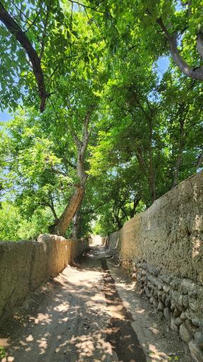 عکس باغ راه گردشگری روستای کن منطقه ۵ تهران