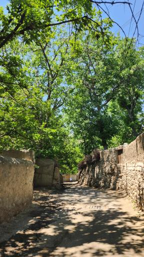 عکس باغ راه گردشگری روستای کن منطقه ۵ تهران