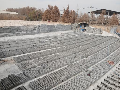 عکس بلوک زنی برادران شاه نظری