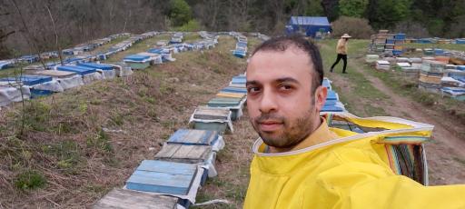 عکس عسل طرقی