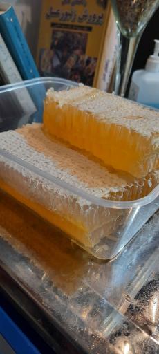 عکس عسل طرقی