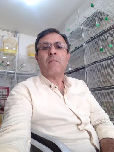 عکس پرنده سرای سید