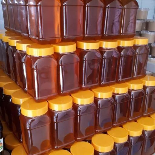 عکس عسل فروشی مرتضی پورنظری