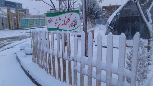 عکس گلخانه ژینو