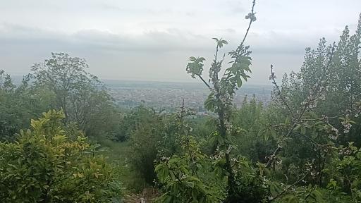 عکس بام گلوگاه (اردیبهشت)