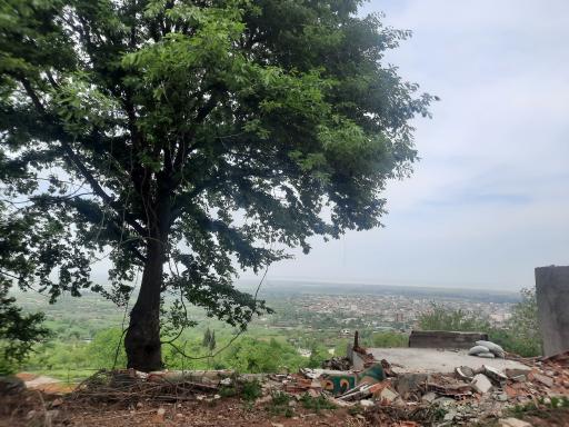 عکس بام گلوگاه (اردیبهشت)