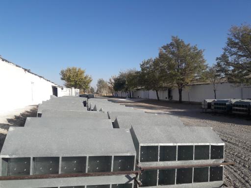 عکس مجتمع مرغ مادر فریمان (واحد فارم ۱)