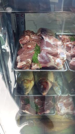 سوپر پروتئین ساطور