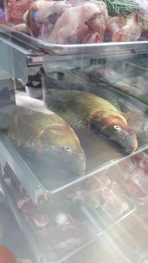 سوپر پروتئین ساطور