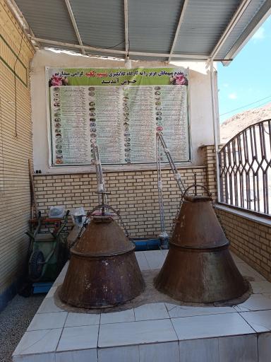 عکس گلاب گیری نسیم کعبه