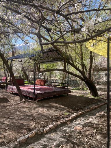 عکس باغ مازون