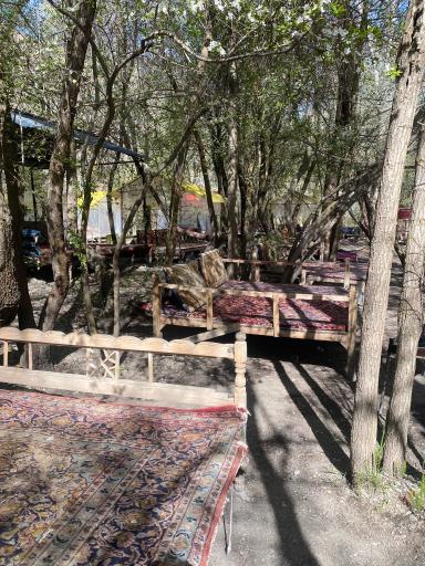 عکس باغ مازون