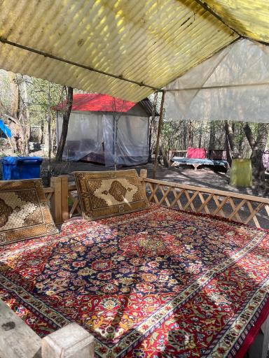 عکس باغ مازون