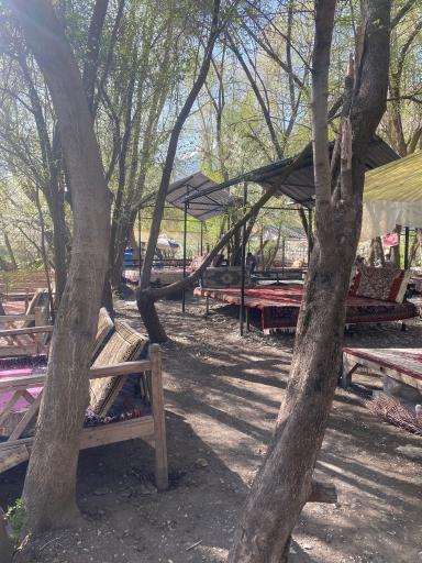 عکس باغ مازون