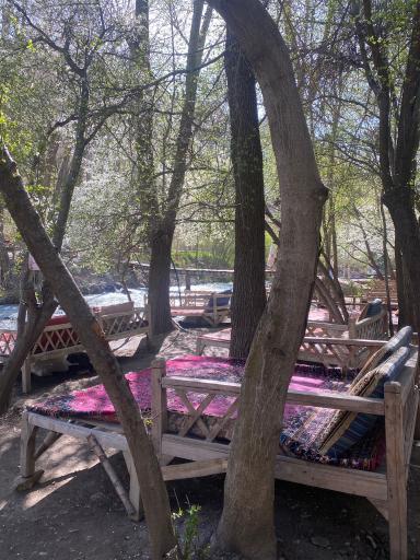 عکس باغ مازون