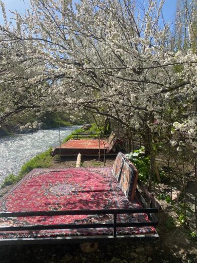 عکس باغ مازون