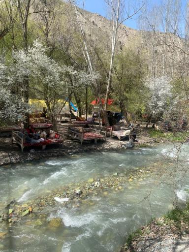 عکس باغ مازون