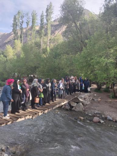 عکس باغ مازون