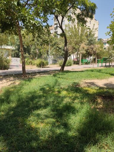 عکس بوستان سمرقندی