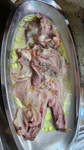 عکس طباخی نبرد