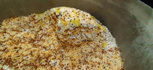 عکس آشپزخانه و غذای آماده آرموت