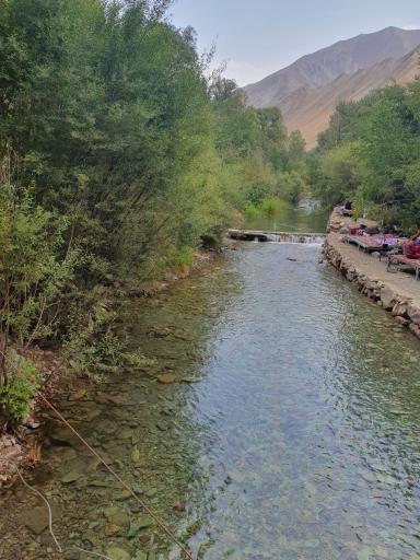 عکس باغ مازون