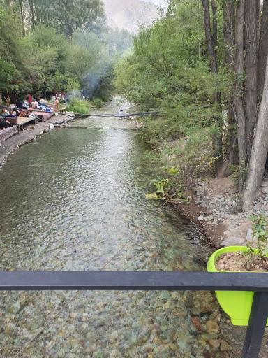 عکس باغ مازون