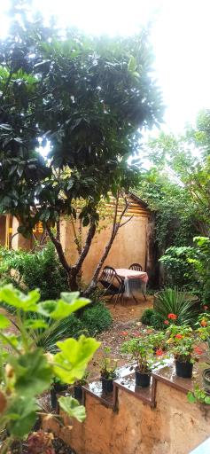 عکس کافه ننه ایران