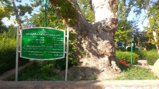 عکس استخر و آب نما بش قارداش