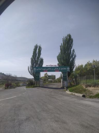 عکس مجتمع فرهنگی تفریحی رفاهی شهید کسایی 