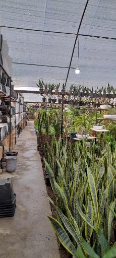 عکس جنگل استوایی دیان