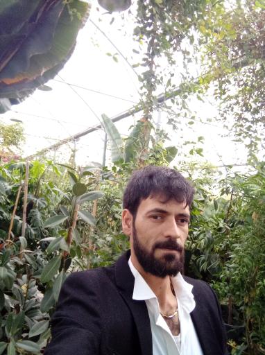 عکس جنگل استوایی دیان