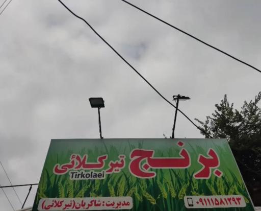 برنج فروشی تیرکلائی