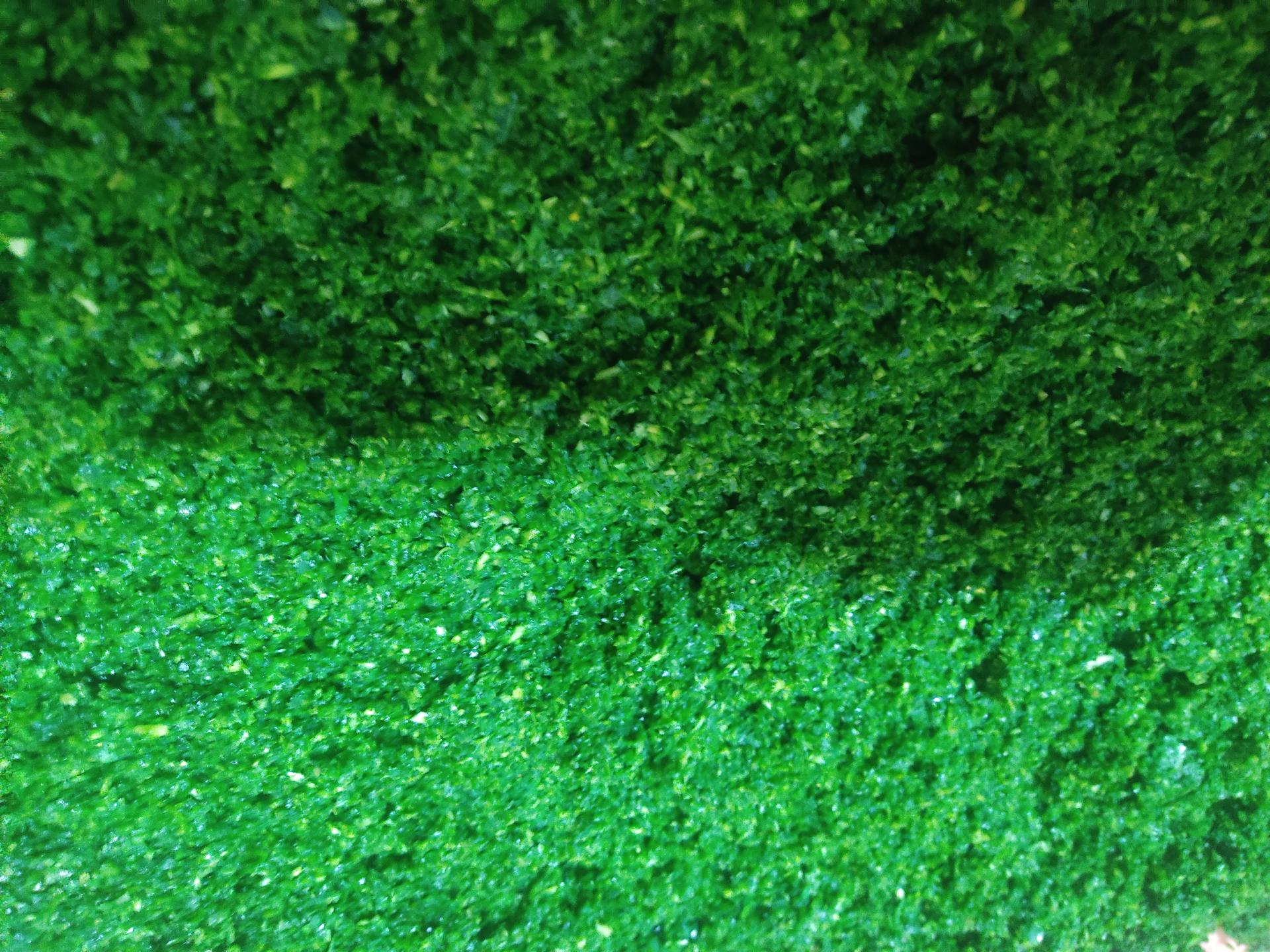 عکس سبزیجات ریحون بنفش 