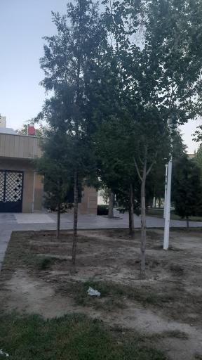 عکس پارک گلستانه