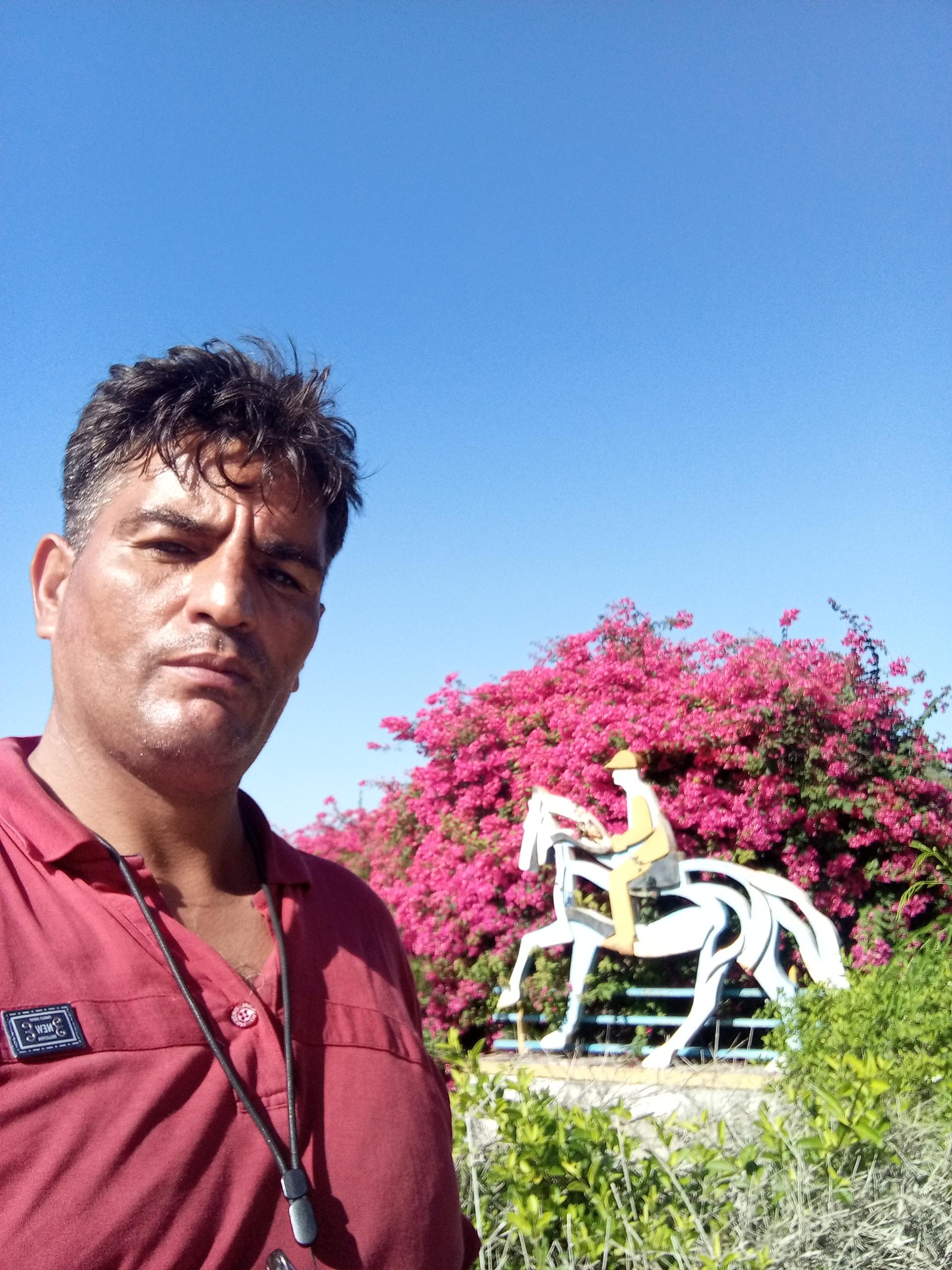 عکس باشگاه سوارکاری